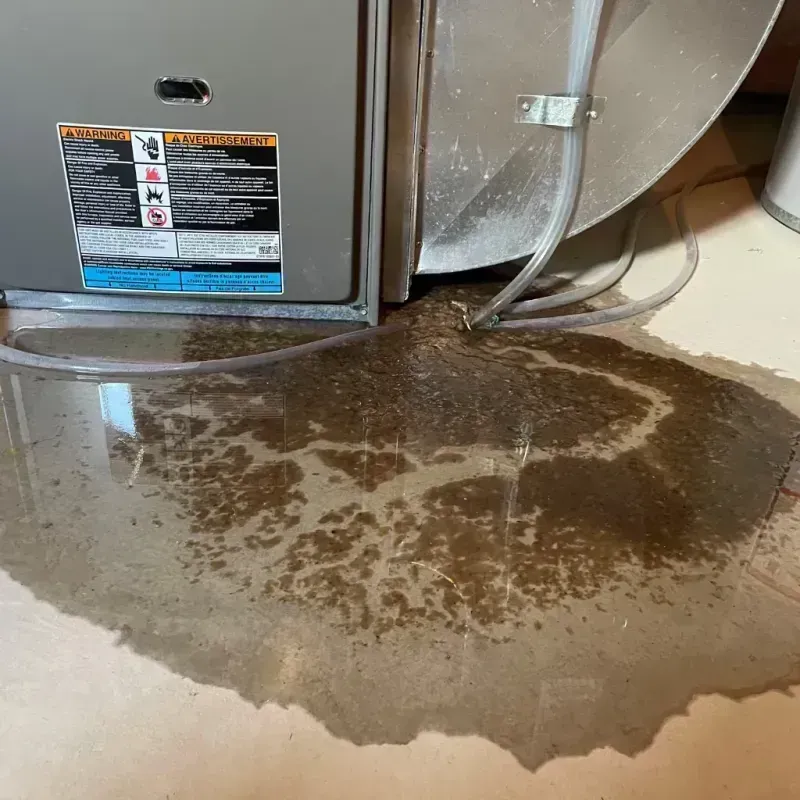 Appliance Leak Cleanup in Litchfield, NH